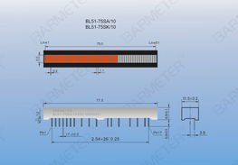 红绿交融 BL51 7505SA10 共阳单光柱显示器件的技术解析与应用展望